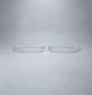 Green Apple Oval Glass Serving Platter / Tray