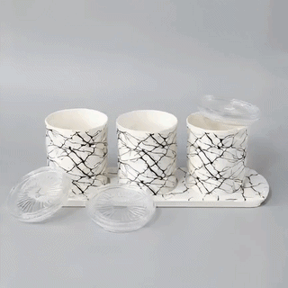 3-Piece Kitchen Canister Set with Matching Tray - Modern Marble Branch Pattern