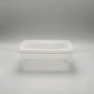 Clear Storage Box with Handle & Lid – Multi-Purpose Organizer Bin
