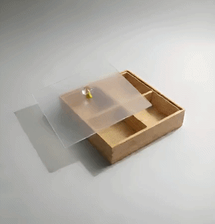 4-Grid Wooden/Bamboo Organizer Box with Frosted Acrylic Lid & Crystal Knob
